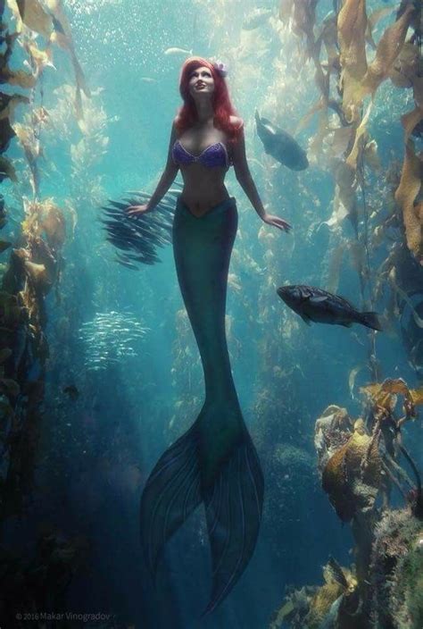 Pin On Most Beautiful Mermaids And Sexy Mermen