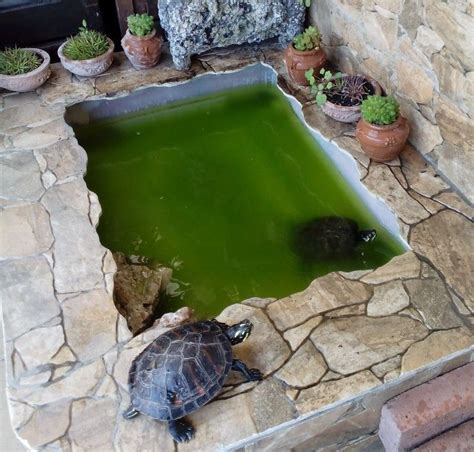 Peceras Para Tortugas Estanques Para Tortugas H Bitat De Las Tortugas