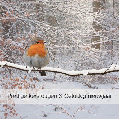 Winters Bos Met Roodborst Kerstkaarten Kaartje Go