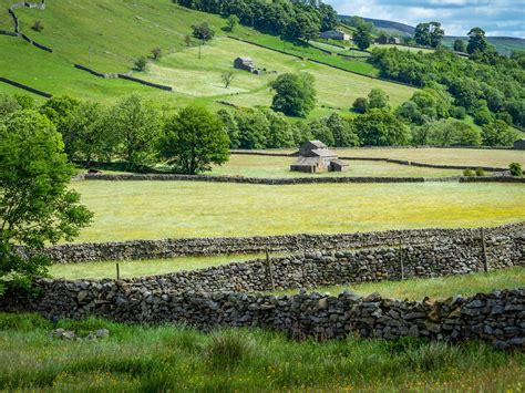 Swaledale Near Muker Landscape Yorkshire Dales Yorkshire England