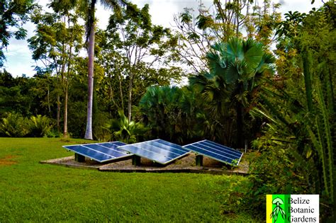 Belize Botanic Gardens San Ignacio Cayo District