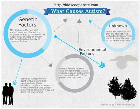 How Do You Get Autism An Insight Into The Caused Of Autism