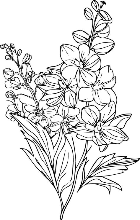 Delphinium Tattoo Black And White Pencil Delphinium Drawing July