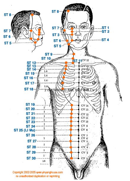 Shiatsu Meridian Chart