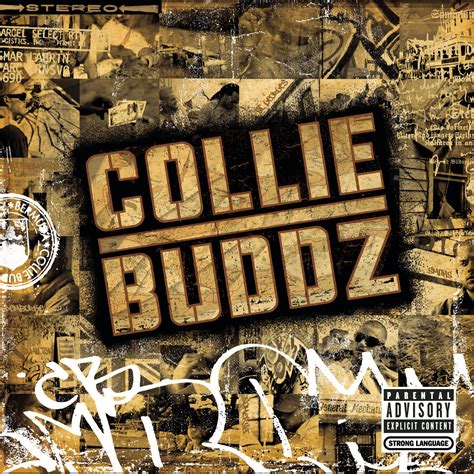 Collie Buddz Collie Buddz Iheart