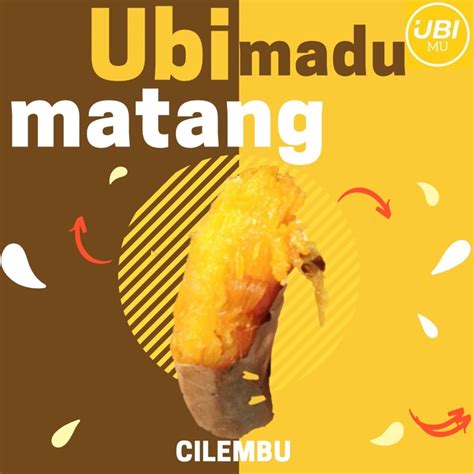 Jual Ubi Madu Cilembu Mentah Kg Shopee Indonesia