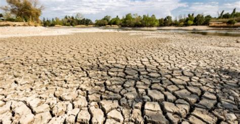 Rétro 2023 Le Gard et lHérault ont souffert durablement de la sécheresse