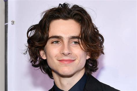 Why Is Timothée Chalamets Hair So Great Long Hair Styles Hairstyle Curly Hair Styles