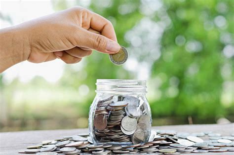 female hand putting money coins  jar concept  green nature