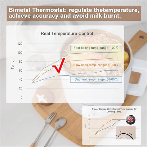 Buy MOOSUM Mini Electric Hot Pot Fast Cooker For Ramen Soup Stainless Steel With Over Heating