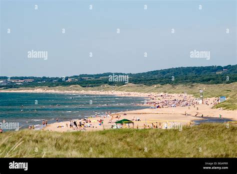 halmstad tylosand beach beaches sweden swedish baltic sea sunbathing ...