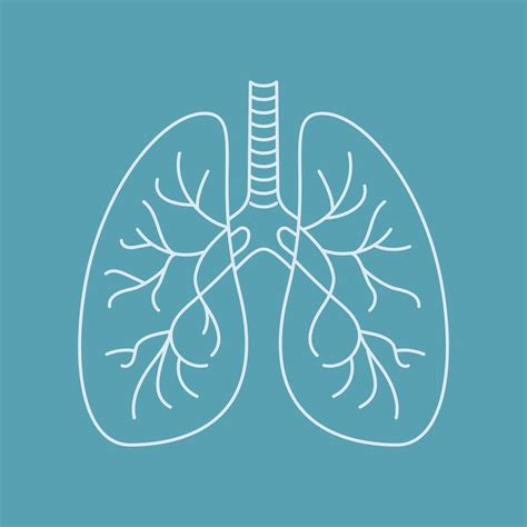 Human lungs outline icon on blue background 43601484 Vector Art at Vecteezy