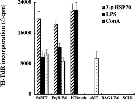 Tghsp Induced Proliferative Responses Of Spleen Cells From Various