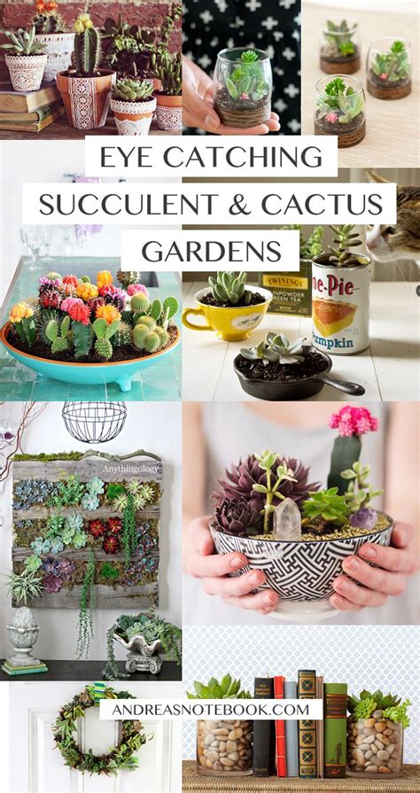 Eye Catching Diy Succulent And Cactus Gardens Succulents Diy Cactus Garden Succulent Gardening