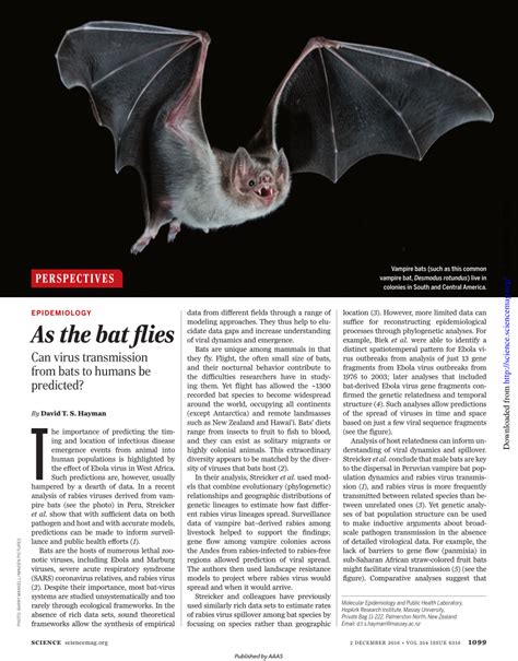 (PDF) As the bat flies