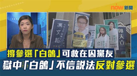 【政情】撐參選「白鴿」可救在囚黨友 獄中「白鴿」不信說法反對參選 Now 新聞