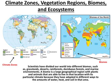 Climate Zones And Biomes At Gary Brandt Blog