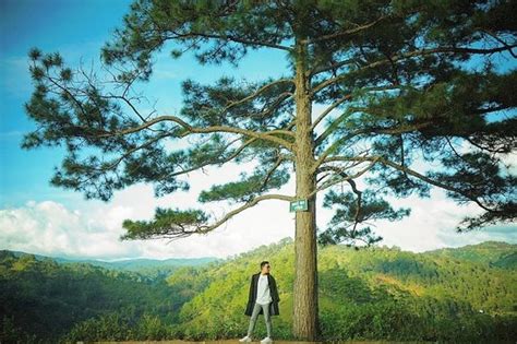 Ngã Ba Tình Điểm đến hot hòn họt dành cho các cặp đôi ở Đà Lạt