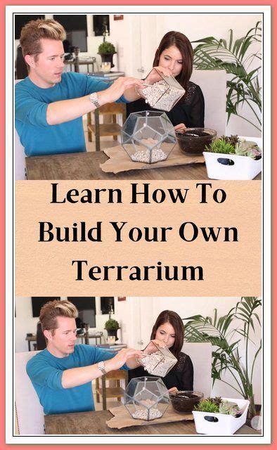 Here S How You Can Build Your Own Terrarium Right At Home It S Much