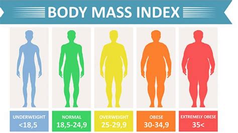 Cara Cek Body Mass Index Secara Online Untuk Daftar Seleksi Cpns