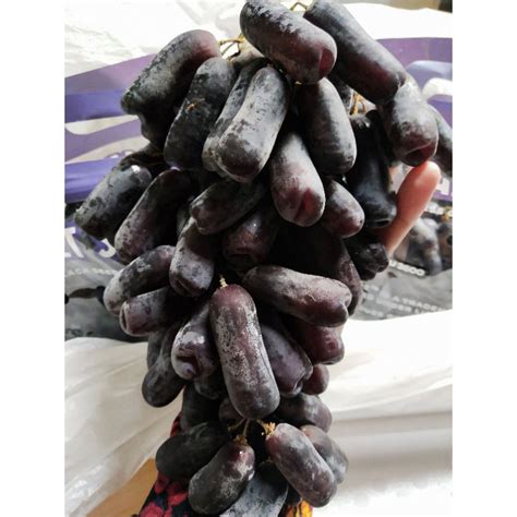 Jual Buah Anggur Hitam Moondrop Sweet Saphire 1kg Buah Anggur Hitam