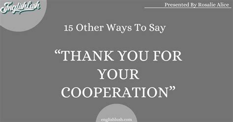 15 Other Ways To Say Thank You For Your Cooperation”