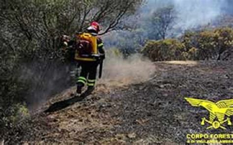 Sedici Gli Incendi Divampati Oggi Cagliari Vistanet