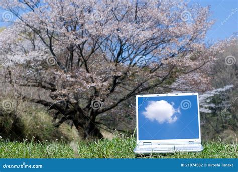 Notebook Computer in Nature Stock Photo - Image of business, background: 21074582