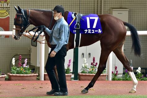 Jra武豊「他の馬がモタモタ……」責任転嫁でm デムーロに“恨み節”も……、チューリップ賞（g2）“共倒れ”でも両者の思惑に大きな隔たり Gj