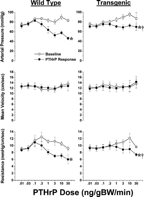 Effect Of PTHrP Overexpression On Cardiovascular Hemodynamics In