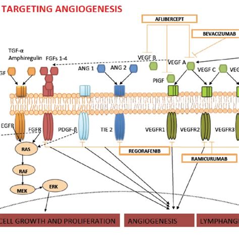 Ongoing clinical trials with Angiogenesis inhibitors with a biomarker ...