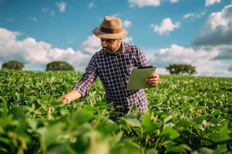 Tecnologia Na Agricultura Importância E Principais Usos Totvs