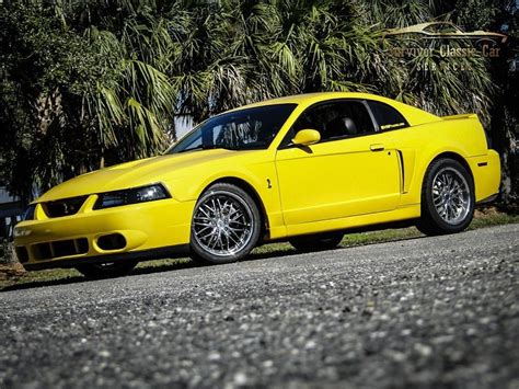 Ford Mustang American Muscle Carz