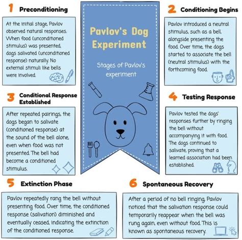 Ivan Pavlov Classical Conditioning And Early Years Education