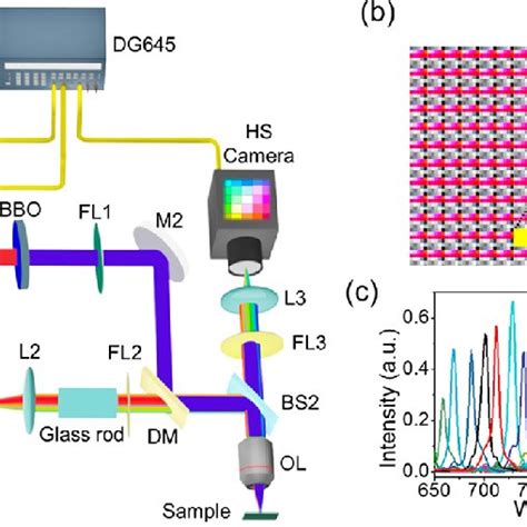 Pdf Single Shot Real Time Ultrafast Imaging Of Femtosecond Laser