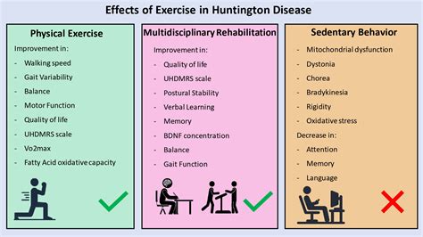 Jfmk Free Full Text Effects Of Exercise On Skeletal Muscle