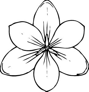 Crocus Flower Top View Clip Art at Clker.com - vector clip art online ...