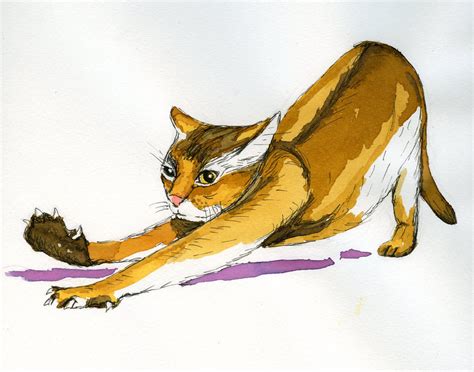 Stretching Cat by cchersin on DeviantArt