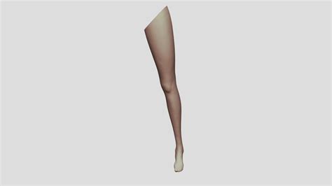 Female Leg Sculpt Download Free 3d Model By Pabler [e38ab07] Sketchfab