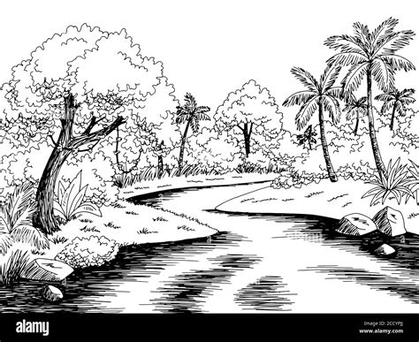 Selva R O Lluvia Bosque Gr Fico Blanco Negro Paisaje Dibujo Ilustraci N