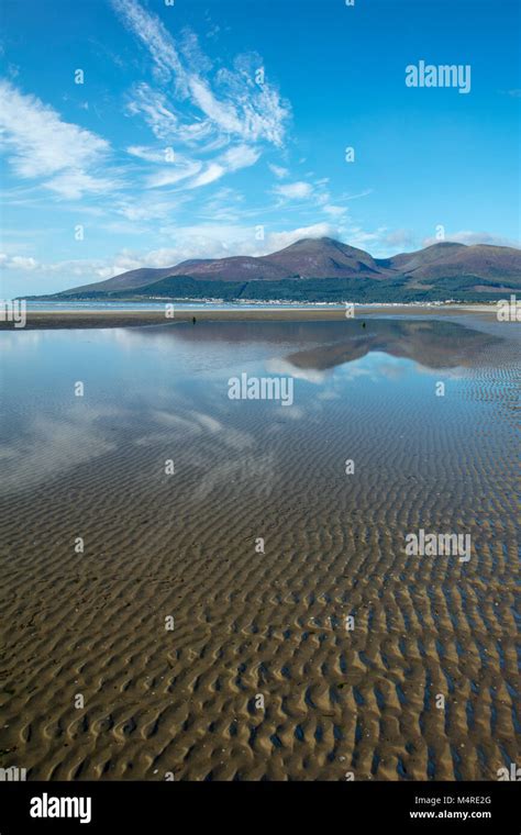 Mourne Mountains Reflected In Murlough Beach Murlough Nature Reserve