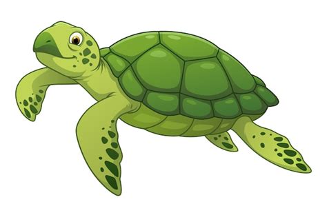 Sea Turtle Clipart Clipart Library Clip Art Library