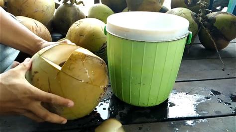 Cutting Coconut Cara Khusus Keterampilan Memotong Kelapa Muda