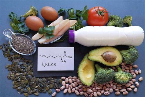 Top Foods High In Lysine To Boost Your Metabolism How To Cure