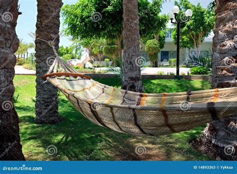 Hammock Under Palm Trees Stock Image Image Of Coolness 14893363