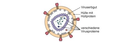 Hiv Heilen Aber Wie Klartext Blog Scilogs Wissenschaftsblogs