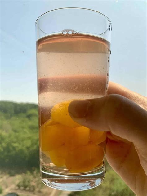 Homemade Kompot Recipe A Refreshing Sugar Free Fruit Drink How To