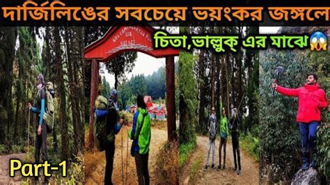 Forest Hiking In One Day Sonada To Chatakpur Trek West Bengal Most