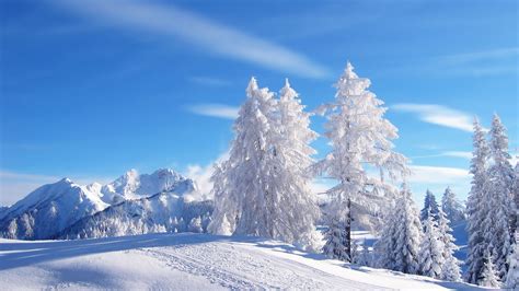 Winter Snow Desktop Wallpapers - Top Free Winter Snow Desktop ...