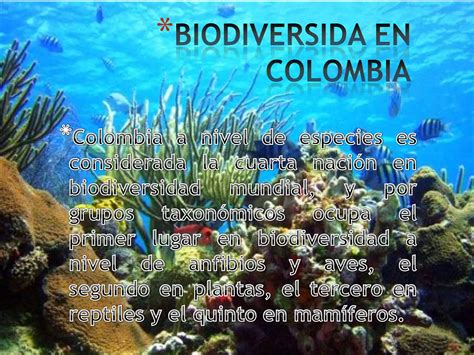 Ventajas De Estudiar La Biodiversidad En Colombia Ppt